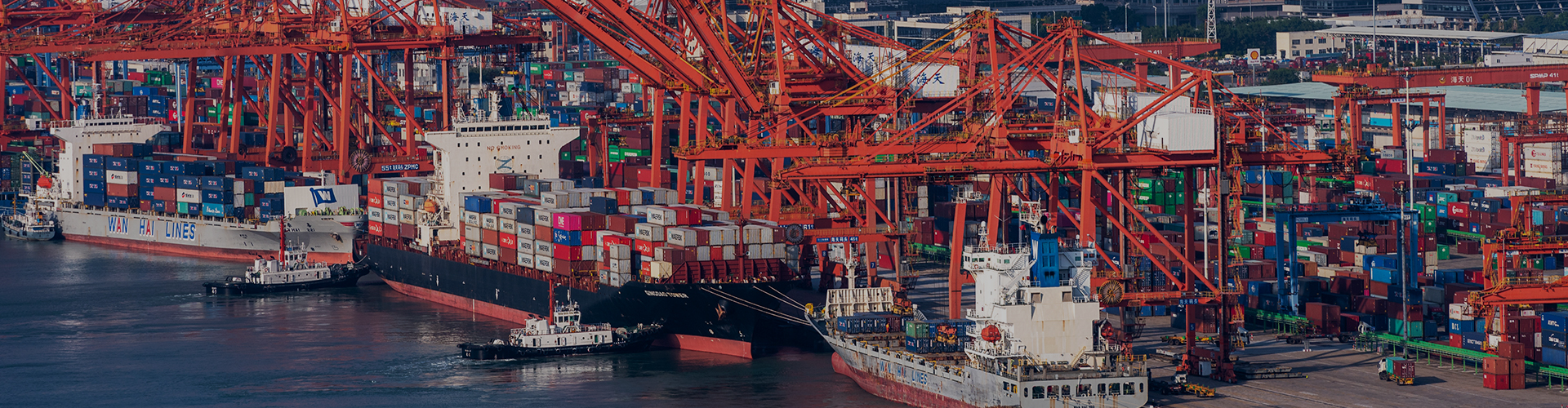 918博天堂(中国区)官方网站